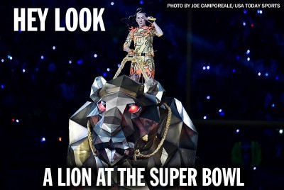 lion at super bowl.jpg