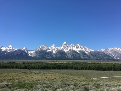IMG_2818.jpg