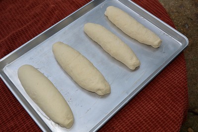 bread_rise.jpg
