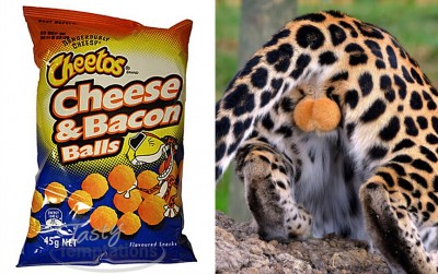 zcheetos.jpg